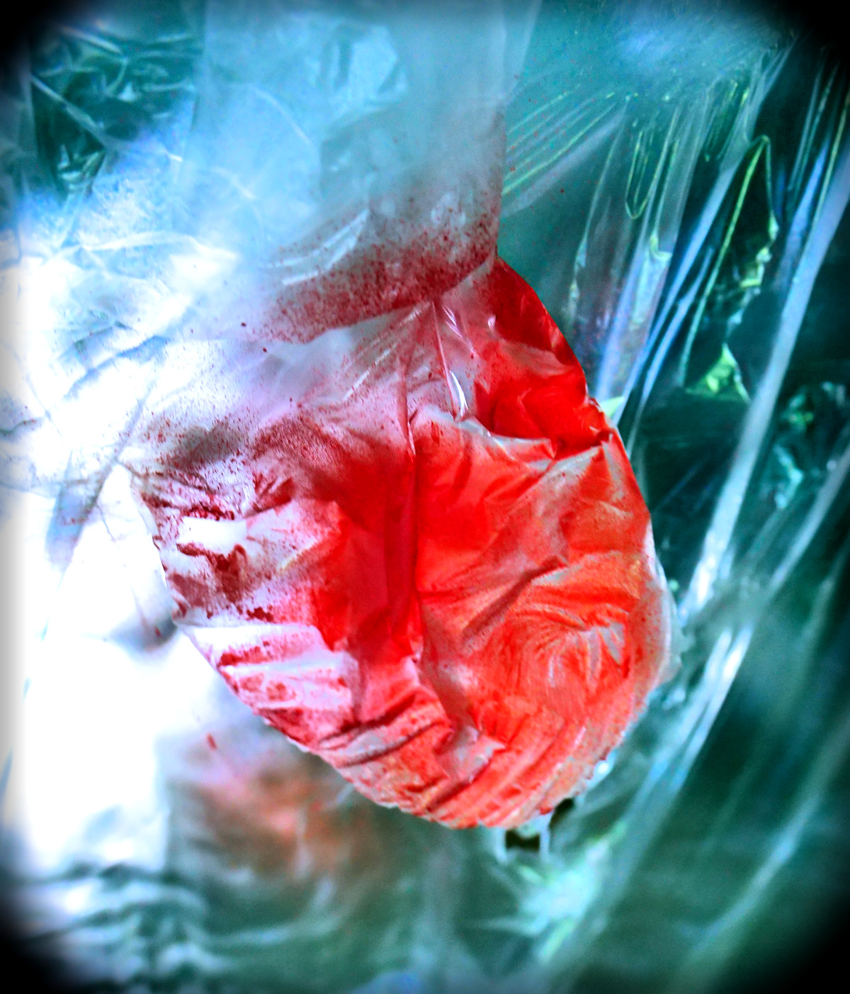 Une photo en clair-obscur coloré, d'une matière satinée, montre en gros-plan une forme organique ressemblant à un coeur, ses valvules et ses artères esquissées, qui semblerait presque pulser. Il s'agit d'une bâche translucide comprimée et peinte en rouge de telle sorte à évoquer le coeur et le sang.